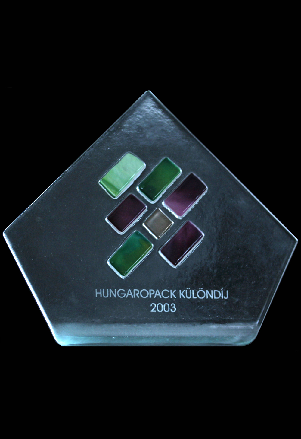 Chemi-Pack LLC received the special
                            award of the Hungaropack 2003 exhibition